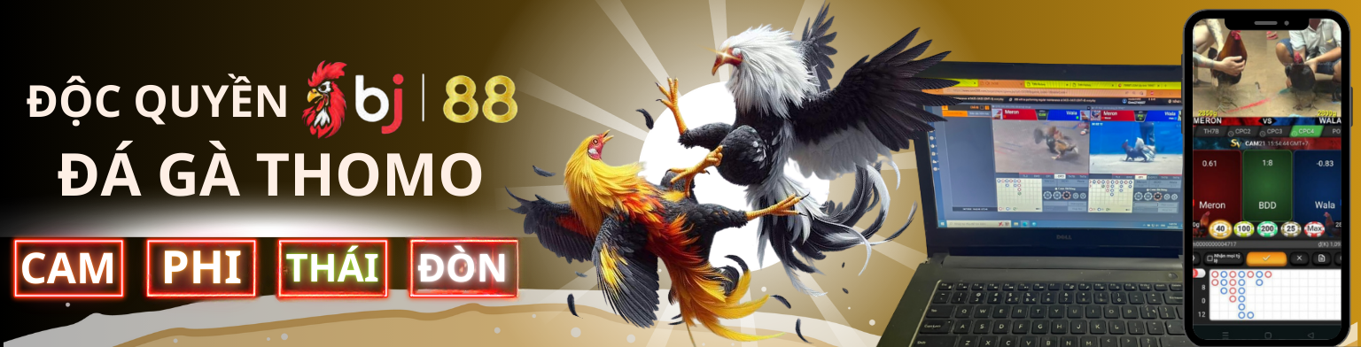 Blue Green and White Centric Website Development Banner 5